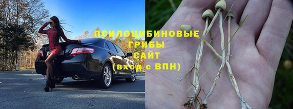 индика Лабытнанги